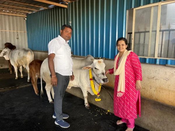Sangam Goshala sanctuary moment 02