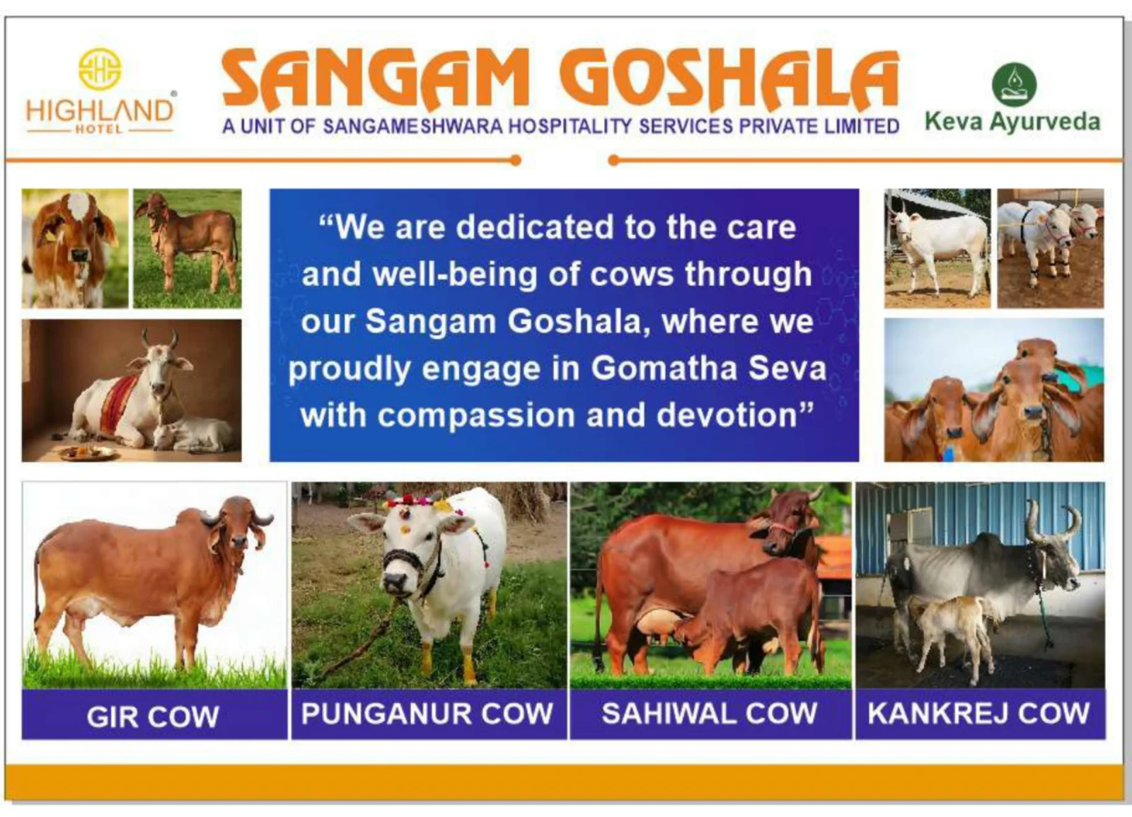 Sangam Goshala sanctuary moment 07
